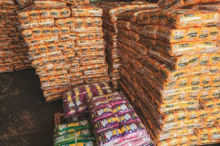Log Fraldas proporciona entrega de fraldas na residência de pacientes em Porto Velho
