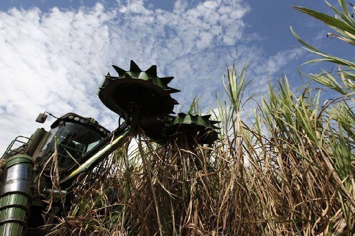 Lucro líquido da Tereos cai 62% na safra 2025/26