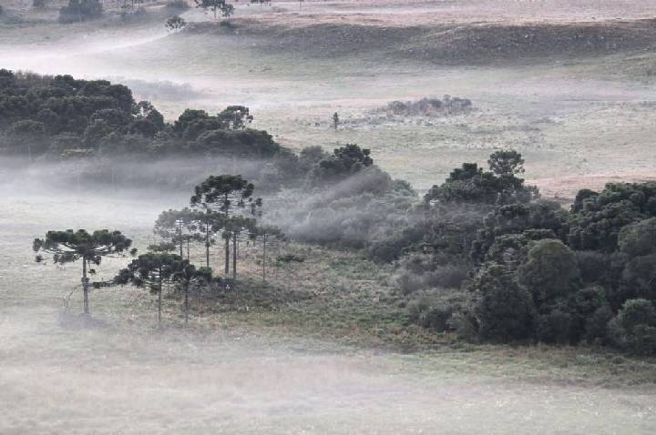 Massa de ar frio pode causar geadas e temperaturas negativas no Sul do país