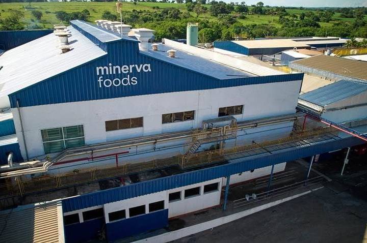 Minerva registra lucro de R$ 87,2 milhões no primeiro trimestre