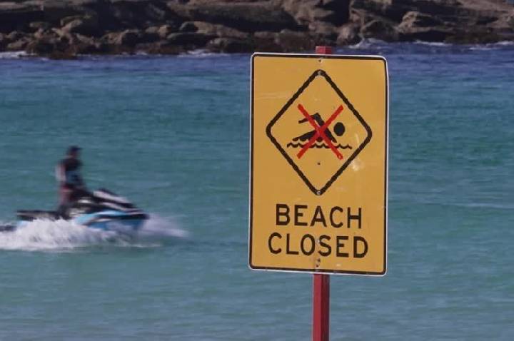 Mulher fica gravemente ferida após ataque de tubarão na Austrália