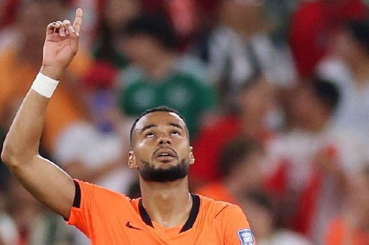 Namorada de Gakpo reage emocionada após gol durante Holanda x Marrocos