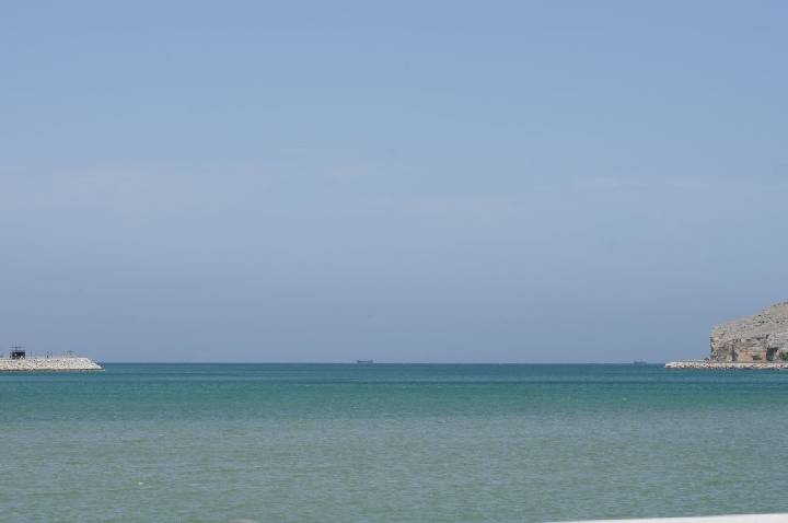 Navio de bandeira japonesa atravessou Estreito de Ormuz, mostram dados