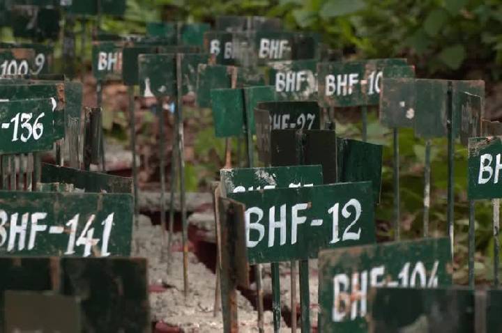 Nepal enterra quase 200 corpos em floresta por lotação de necrotérios