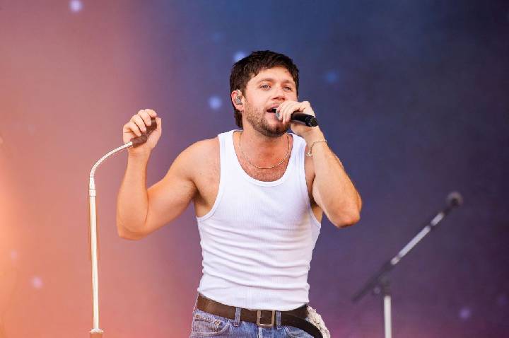 Niall Horan elogia Olivia Rodrigo: “Grande influência para a música pop”