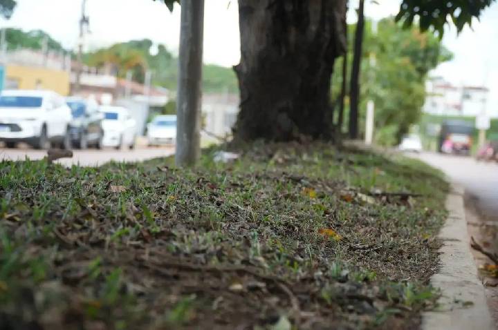 Novas iniciativas de limpeza transformam Porto Velho