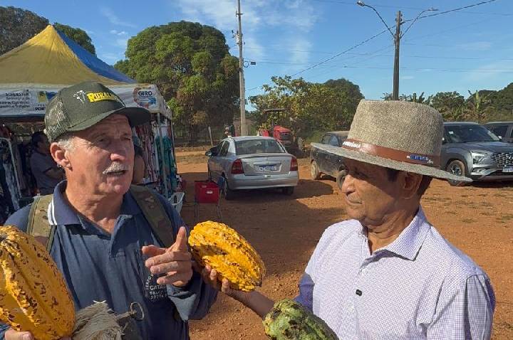 O Ouro Marrom de Rondônia: Dr. Benedito Alves defende investimentos no cacau para gerar emprego e renda