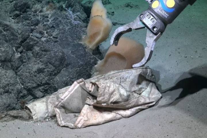 “Olha o tamanho disso”: jaqueta é encontrada a 3 mil metros de profundidade