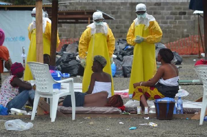 OMS anuncia plano de US$ 518 milhões para conter Ebola e pede investimentos