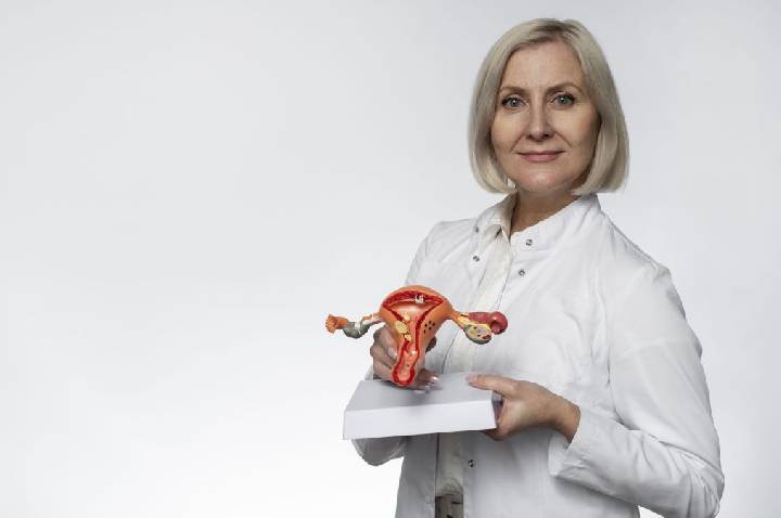 Ovário pode ser marcador do envelhecimento feminino? O que diz a ciência