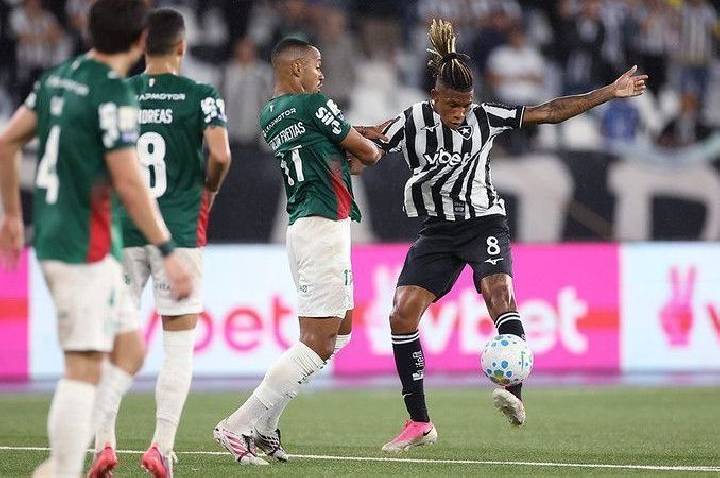 Palmeiras empata com Botafogo e perde a ponta do Brasileiro para o Flamengo