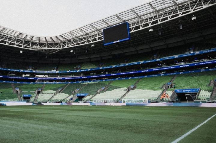 Palmeiras x Santos: horário e onde assistir ao jogo do Brasileirão