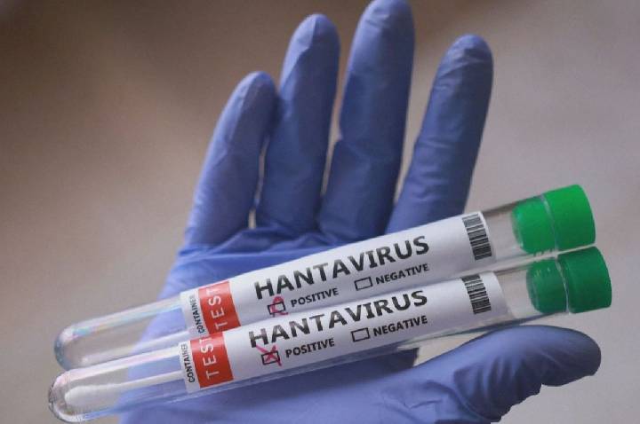 Paraná confirma dois casos de hantavírus no estado; 11 são investigados
