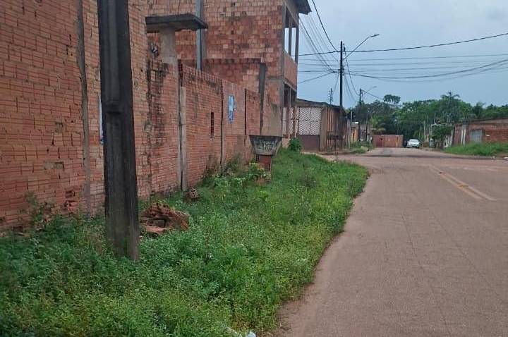 Pedido de providência busca limpeza e roçagem no bairro Cidade Nova
