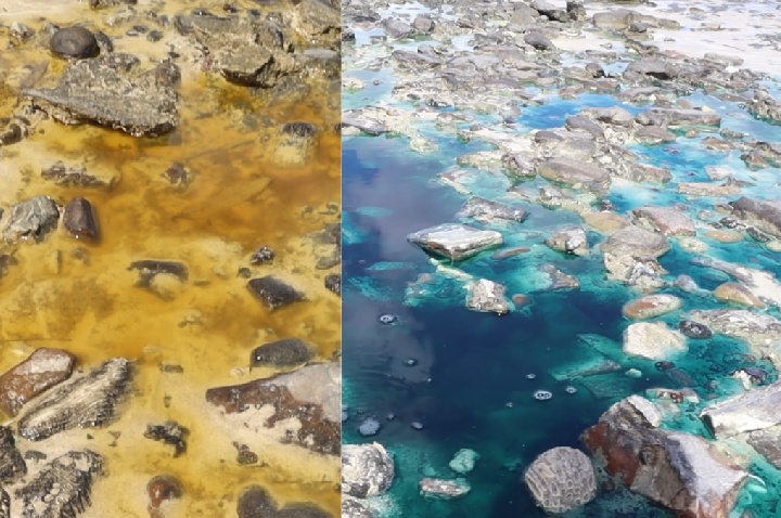 PF investiga manchas coloridas e possível contaminação em praia de Salvador