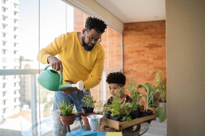 Plantas: como escolher a melhor para cada ambiente da casa