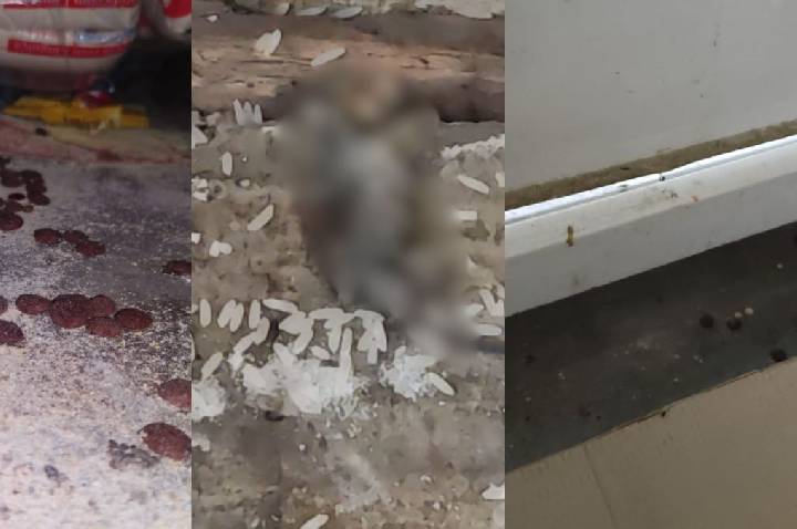 Polícia Civil recolhe nove toneladas de alimentos em supermercado no ES