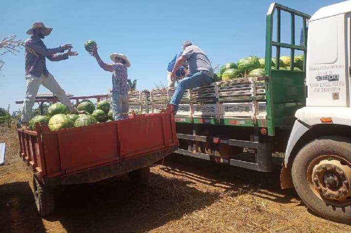 Porto Velho lidera o agronegócio de Rondônia e Agrotec 2026 será a vitrine da força produtiva do município