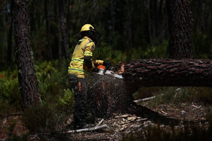 Portugal pede apoio alerta para aumento de incêndios florestais