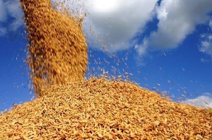 Preços de alimentos sobem 1,99% e puxam alta da indústria em agosto