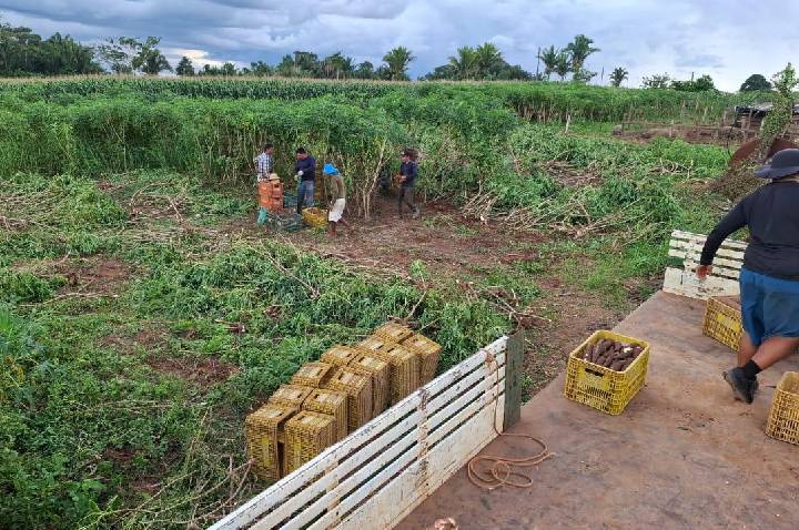 Prefeitura fortalece políticas públicas para apoiar agricultores familiares no Dia do Trabalhador Rural