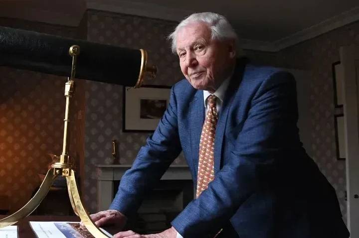 Príncipe William celebra 100 anos de naturalista David Attenborough