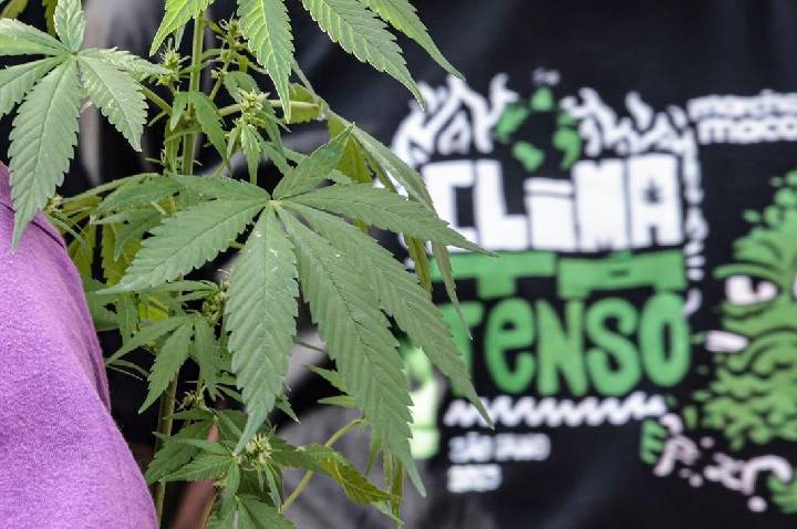 Prisão preventiva é mais comum em flagrantes por drogas do que em outros crimes