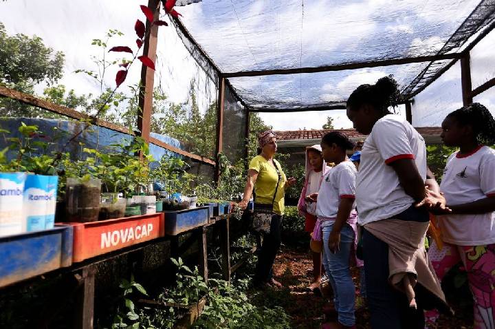 Programa de educação ambiental traz saberes locais para escolas públicas
