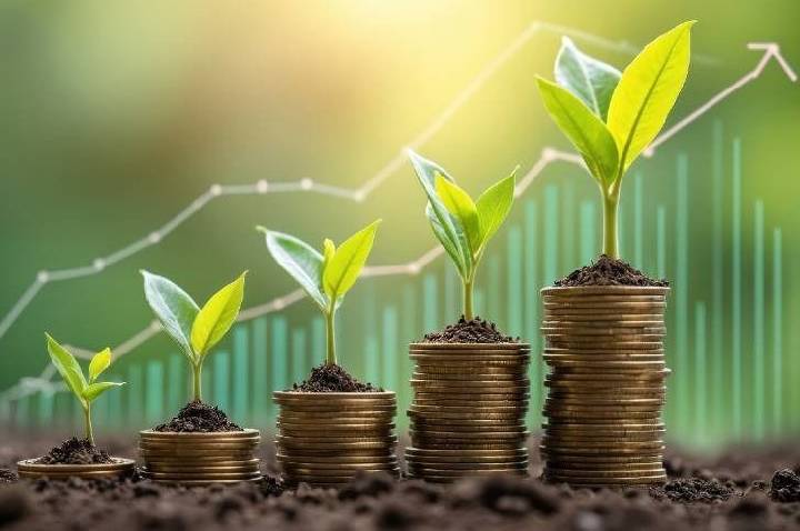 Renovagro aprova emissão de R$ 10,8 milhões em debêntures