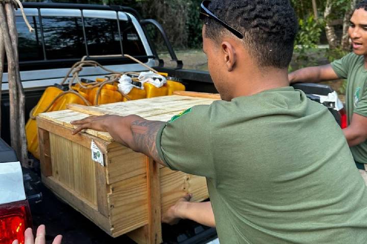Resgate de paca reforça atuação no combate aos incêndios e proteção da fauna em Porto Velho