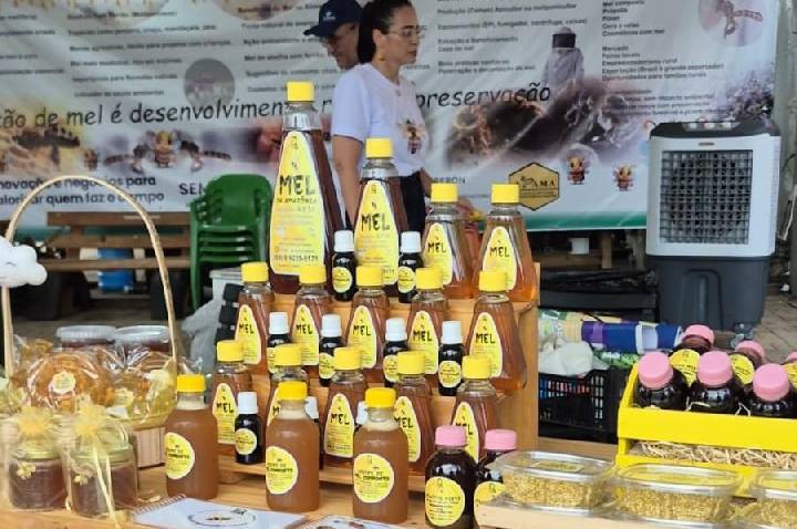 Sabores da Colmeia destaca potencial da apicultura e meliponicultura na 2ª edição da Agrotec 2026