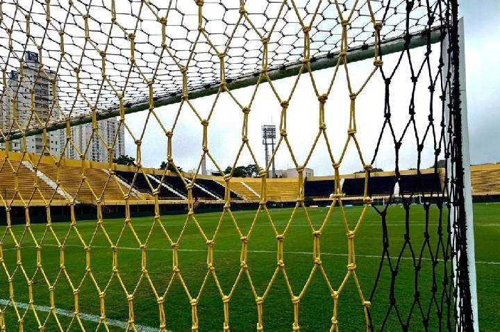 São Bernardo x Ponte Preta: horário e onde assistir ao Brasileirão Série B