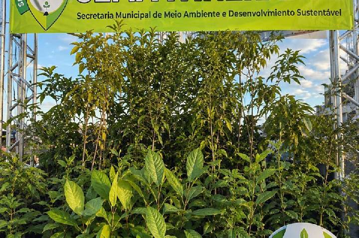 Semana do Meio Ambiente distribui mais de mil mudas à população