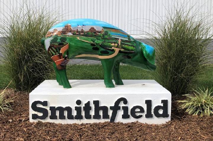 Smithfield lucra US$ 238 mi no 2º tri, com avanço na produção de suínos