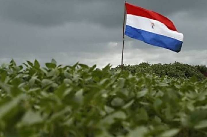 Soja do Paraguai caminha para safra recorde, enquanto clima pressiona milho