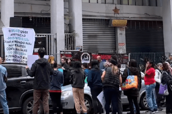 Tortura animal: manifestação reúne pessoas em endereço de suspeita em SP