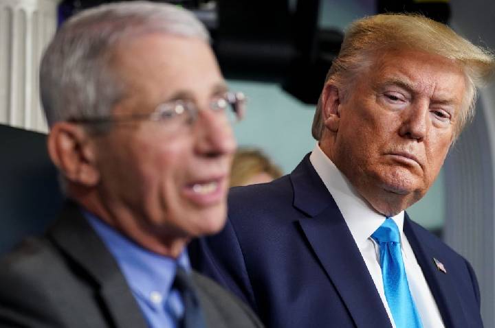 Trump diz que Fauci pode ter cometido crimes e defende possível processo