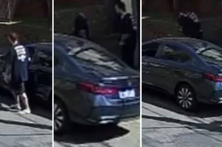 Vídeo: homem agride idoso após discussão envolvendo cachorro em BH