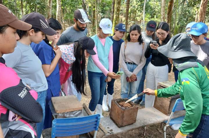 Visita técnica aproxima acadêmicos da prática da apicultura e meliponicultura em propriedades rurais