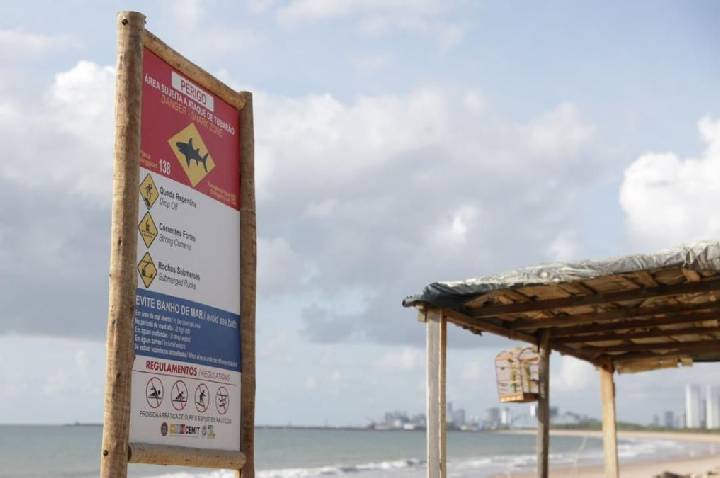Vítimas de ataques de tubarão estão internadas na UTI em Pernambuco