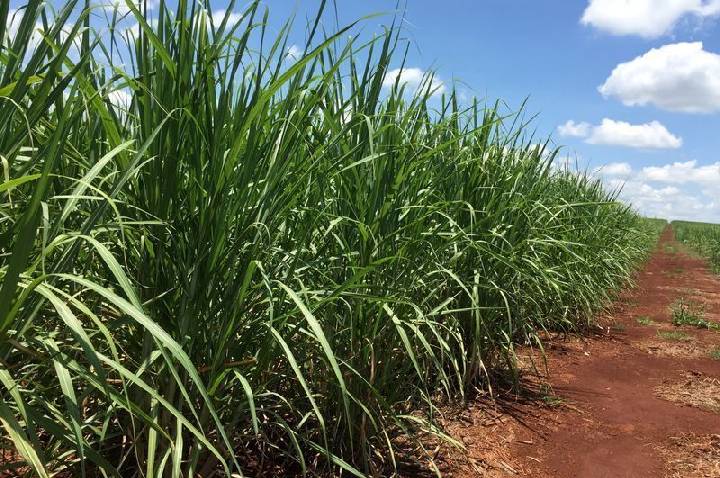Zilor tem prejuízo líquido de R$ 43,2 milhões no trimestre