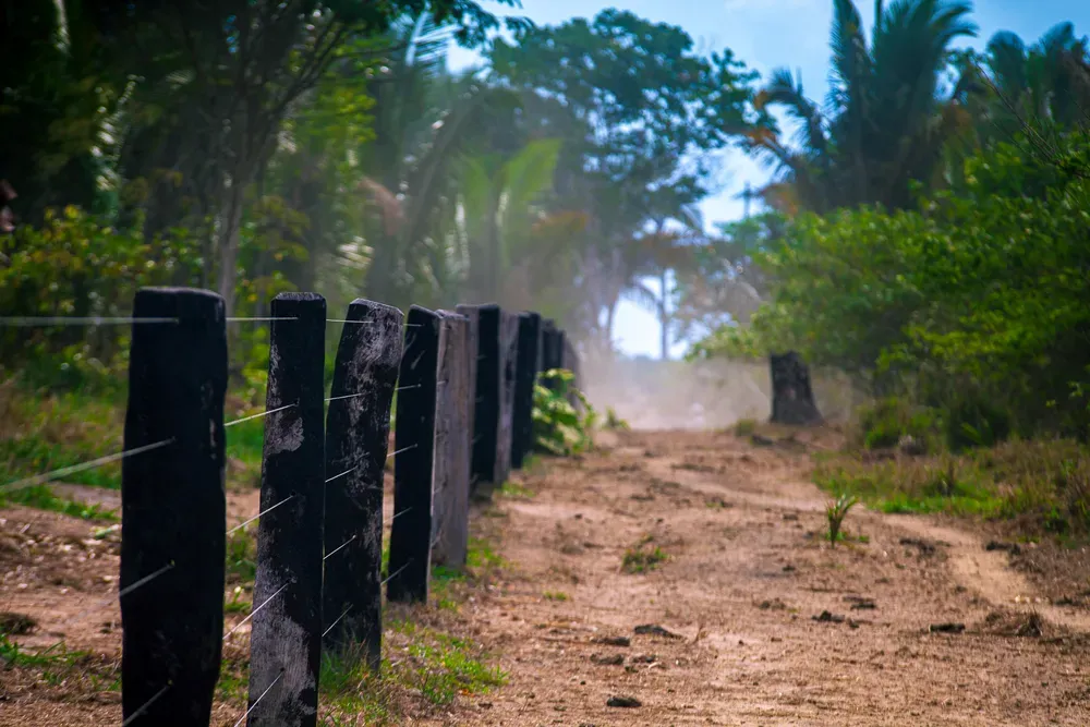 Ministério Público solicita suspensão imediata de lei que anistia crimes ambientais e regulariza ocupações em unidade de conservação em Rondônia
