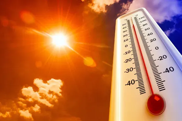 Pesquisa em 10 capitais revela que calor excessivo e poluição do ar são os principais impactos das mudanças climáticas para internautas brasileiros