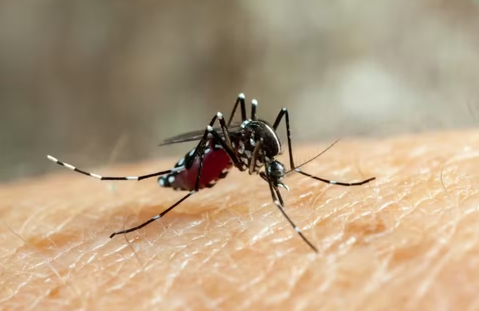 Rondônia registra primeiras mortes por dengue e chikungunya em 2025