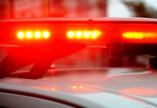 Tragédia: criança de 4 anos morre após ser atingida por bezerro em distrito de Porto Velho.