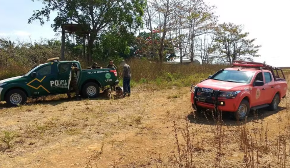Dois caçadores são presos com animais abatidos e armas ilegais em Rondônia
