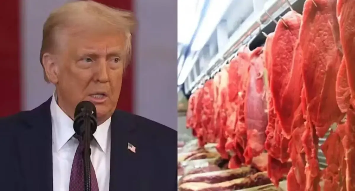 Entenda o impacto do Tarifaço de Trump no Agronegócio brasileiro