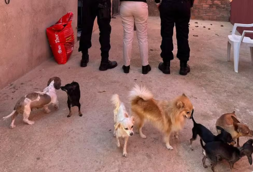 Homem é preso em Porto Velho por exploração sexual infantil e maus-tratos a animais.