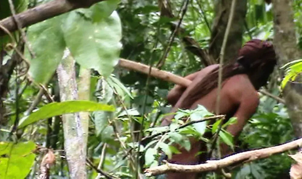 STF aprovou plano para transformar a Terra Indígena Tanaru, onde viveu o “Índio do Buraco”, em parque nacional.