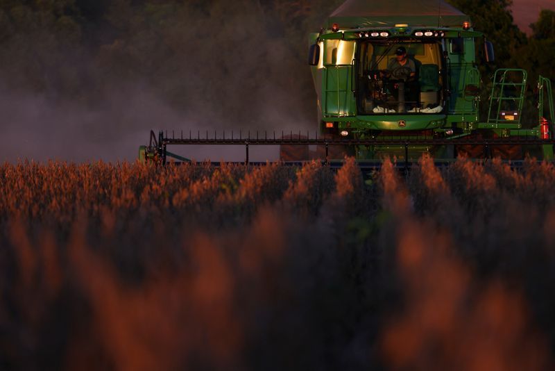 Área de soja deve crescer nos EUA, aponta USDA